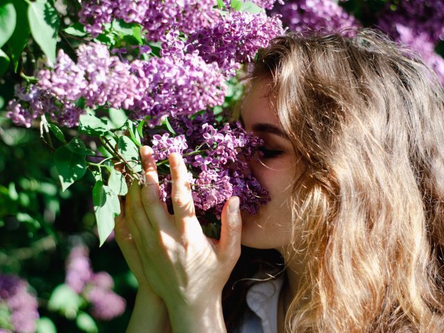Se préparer aux allergies du printemps