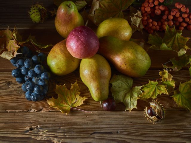 Comment adapter son alimentation à l’automne pour un bien-être optimal ?