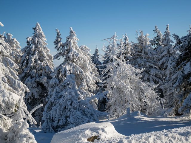 Maintenir un bien-être mental durant les mois froids