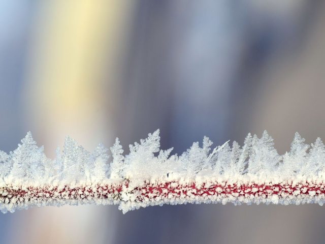 Dès cet hiver, adoptez ces stratégies pour éviter les allergies