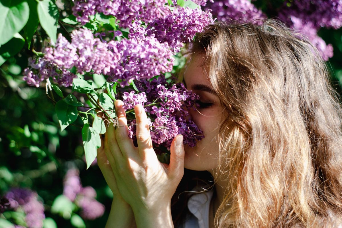 Comment survivre au printemps sans souffrir d’allergies