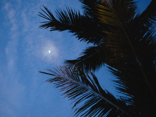 Vous avez du mal à dormir cet été ? Découvrez pourquoi la chaleur nuit à votre sommeil !